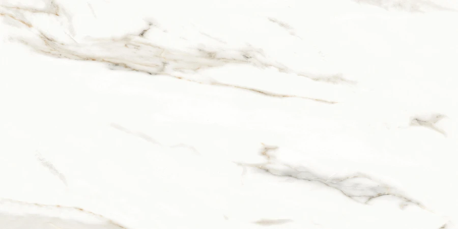 N12028 Splendida Marmol Carrara Polished 60*120