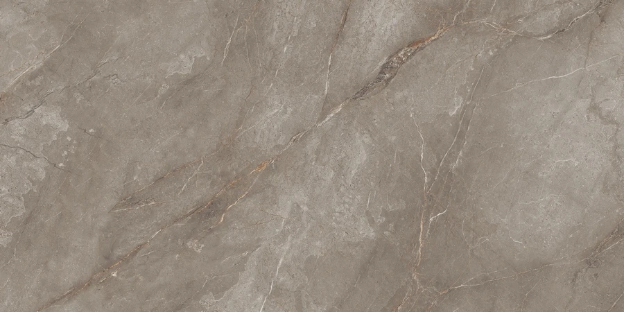 N20495 Supernova Orobico Brown Polished 80*160