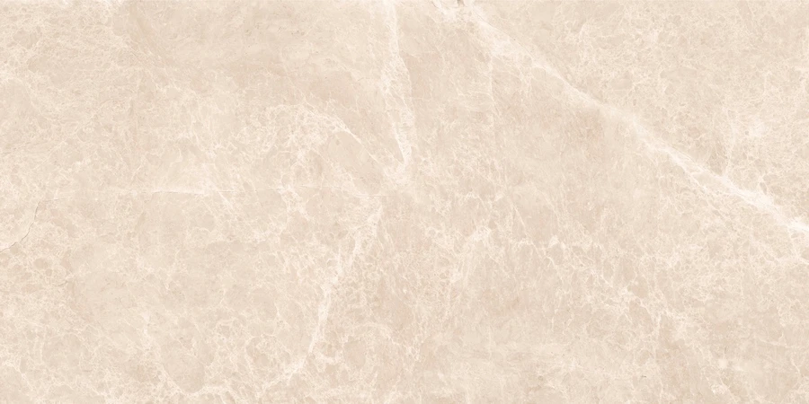 N20456 Supernova Emperador Natural Polished 80*160