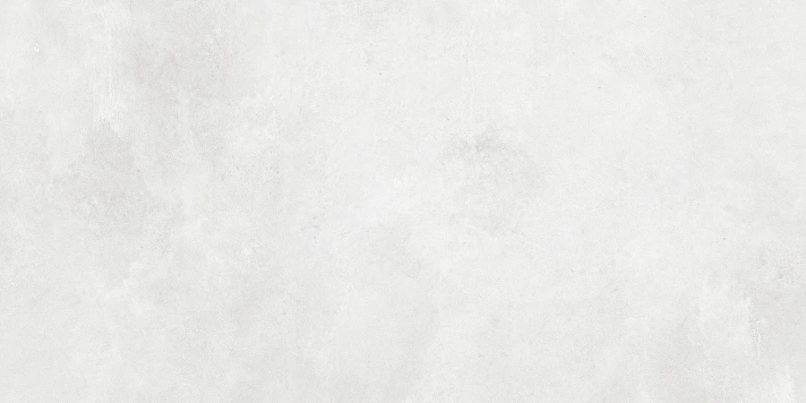 N12610 Cemento Concrete White Matt 60*120