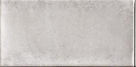 Rev. CAMDEN GREY 10*20