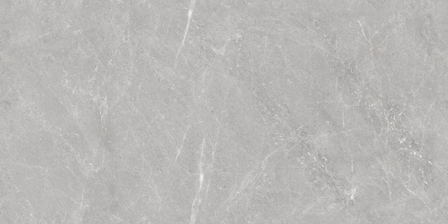 N20438 London Firenze Grey TM 60*120