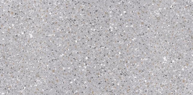 GRS02-08 Petra 1200*600*10 MR Debris (2,16)
