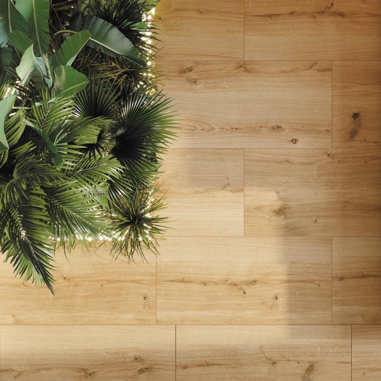 Коллекция Woodhouse
