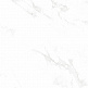 N12003 Splendida Venus Bianco Polished 60*120
