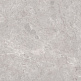 N20488 Grand Classic Tokyo Grey Polished 80*160