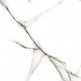 N20320 Marble Soft Statuario Gold Fusion 60*120